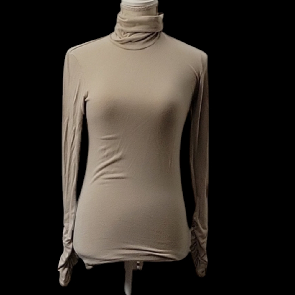 CAbi Turtleneck top